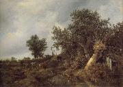 Jacob van Ruisdael Landscape with a cottage and trees oil